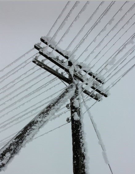 Snow pole - OGE-1